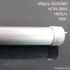 High Brightness SMD T8 LED Tube Light