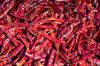 2020 New Crop Food Grade Dried Red Chili 