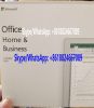 Office 2021 Home and business Retail Sealed Packing Box office 2021 hb