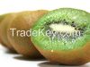 Organic Fresh Kiwi 