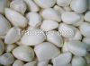 Peeled Garlic Clove