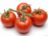 Tomato Fresh And Ready...