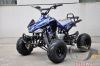 NEW 125cc atv/125cc quad bike/klx style atv(QW-ATV-02) for adults