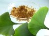 Ginkgo Biloba Leaf Extract