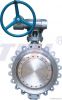 API/BS FLANGED/BUTT-WELD BUTTERFLY VALVE