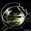 acrylic fishbowl
