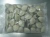 Frozen Whole Shell Whi...