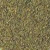 INDIAN GREEN MILLET