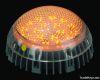 LED dot light
