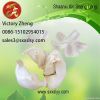 garlic Extract/plant extract/ herbal extract/
