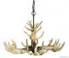 Branched Decorative Chandeliers