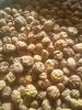 Tiger Nuts (mini, stan...