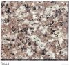 GRANITE G664
