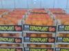 Orange - Mendarine - L...