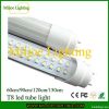 T8 led tube light