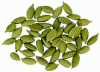 cardamom