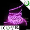 2012 newest waterproof flexible 120leds/m rgb led stip light