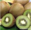 best pure Kiwi powder