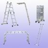 Multi-purpose ladder