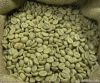 Export Robusta Coffee ...