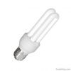 2U CFL LAMP