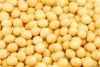 Chinese Origin Soybeans