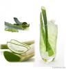 Aloe Vera Drink with Pulp