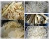 Bamboo Shoot Slice in ...