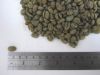 Arabica kalosi toraja green coffee beans