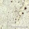 Kashmir White  Granite