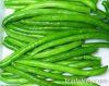 Green beans series