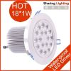 18W high power led dow...