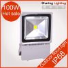 10W RGB led flood ligh color changing, outdoor LED floodlight