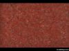 China Red Granite