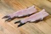 channel catfish fillet