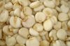 Maize | Maize Exporter | Corn Grain Seller | Maize Buyer | Bulk Maize Grain Importer | Corn bean Buyer | Corn bean Wholesaler | Corn Grain Manufacturer | Best Quality Corn Grain | Cheap Maize Supplier | Low Price Corn | Yellow Corn | White Cron | Baby Mai