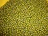 Mung Beans