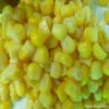 Canned sweet corn kernels