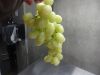 Fresh Grapes US origin 