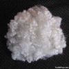 Hollow Conjugated Polyester Staple Fiber 8D*32MM, 51MM