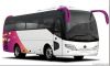 8.9m middle size Luxury coach bus tourist bus