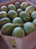 WATERMELONS