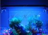 led aquarium light high power for frewater &amp;amp; marine