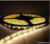 LED SMD 5050/3528 flexible strip