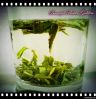 magic green China lotus leaf tea lose fat lower blood pressure