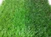 Double-stem soccer grass