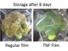 Breath and fresh film, Fresh keeping film, Breathable film for vegetable, Fresh packaging