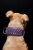 Dog collar made of Lea...