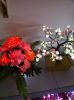 fiber holiday flower lights