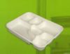 7 Comartment Meal Tray
